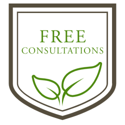 free consultations